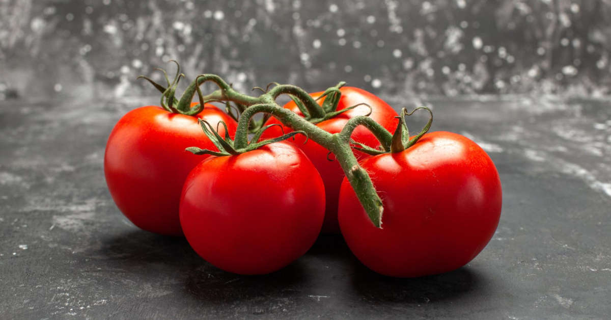 Pomidory bawole serce – uprawa, nawożenie, pielęgnacja