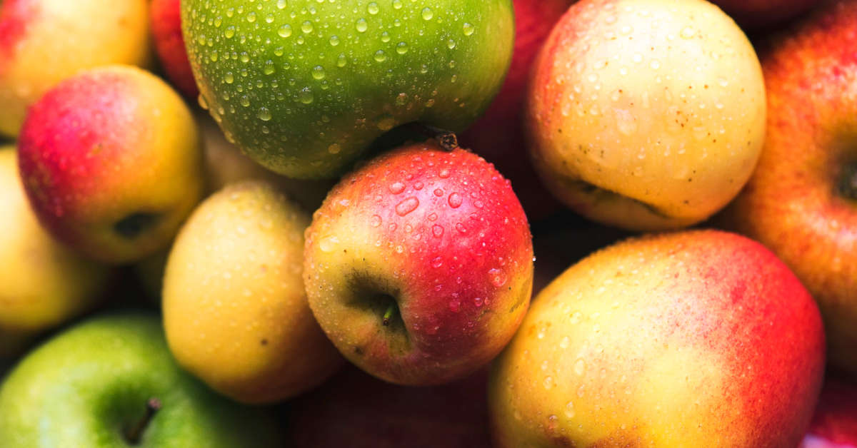 Jabłka gala – jak smakują i jak je uprawiać?