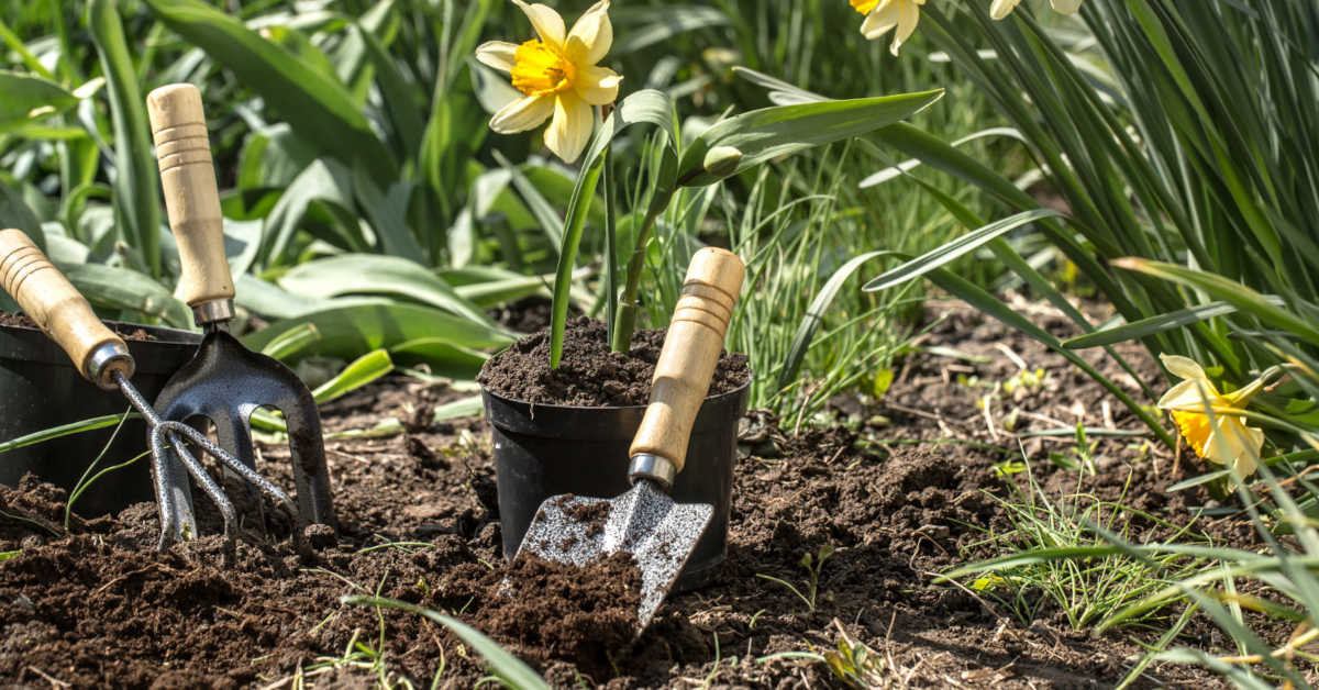Jakie rośliny do cienistych części ogrodu najlepiej sprawdzą się na dłużej?
