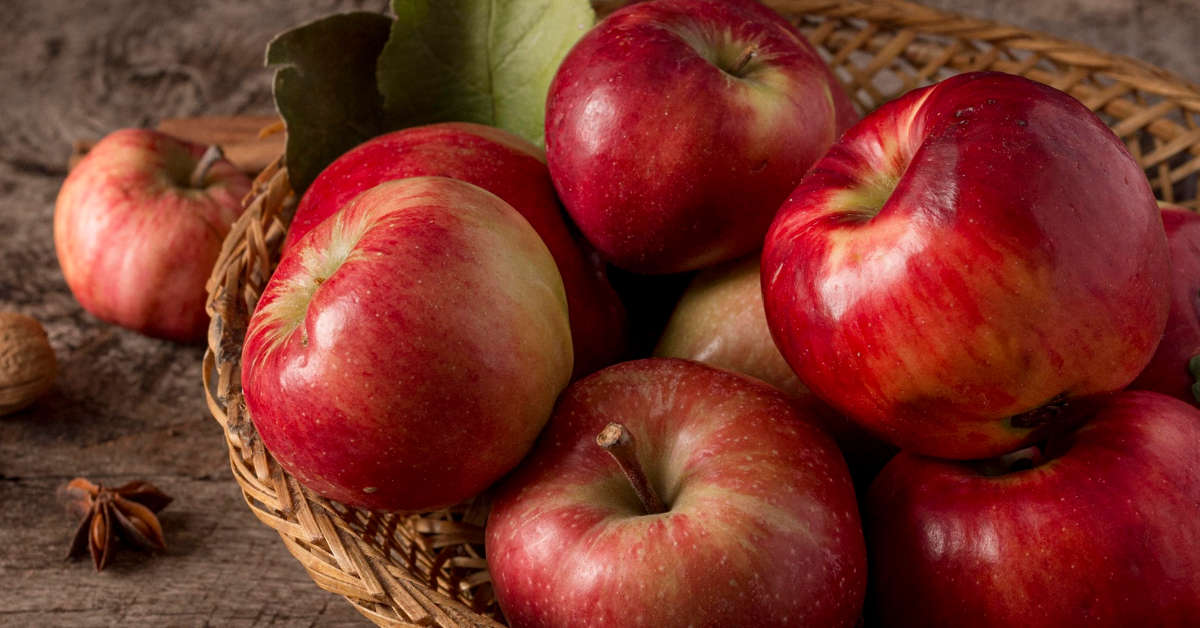 Jabłka jonagored – jak smakują i jak je uprawiać?