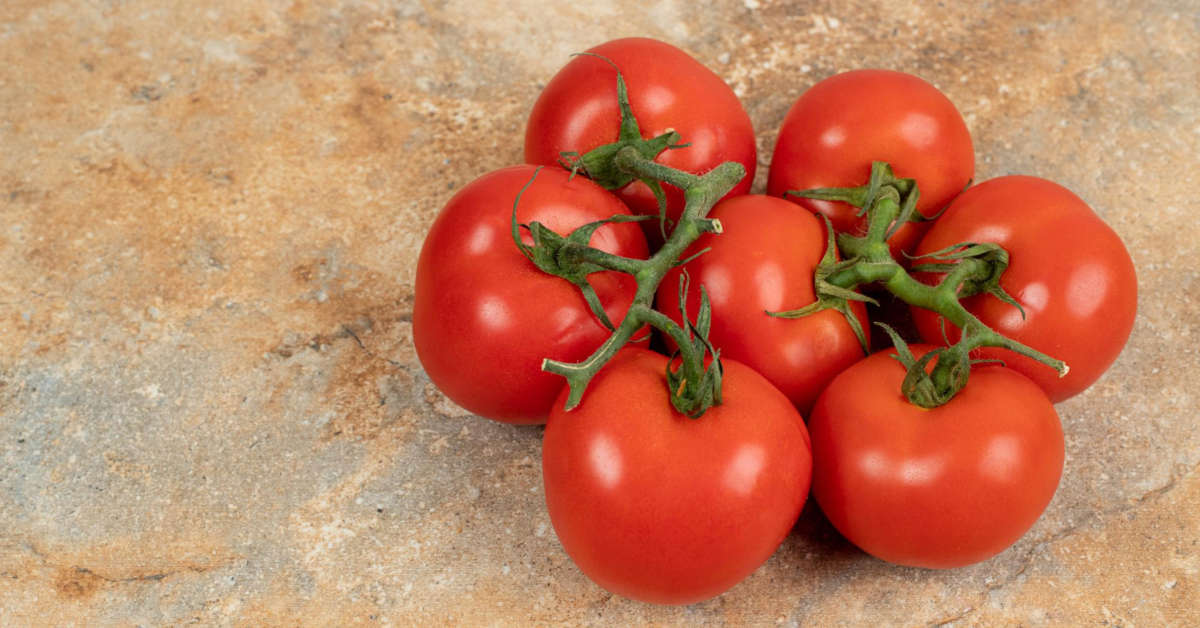 Pomidory san marzano – uprawa, nawożenie, pielęgnacja