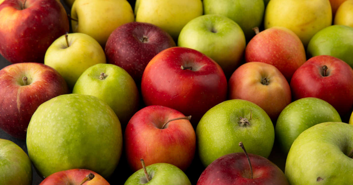 Jabłka lobo – jak smakują i jak je uprawiać?