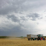 Co opłaca się uprawiać na 1 ha ziemi?