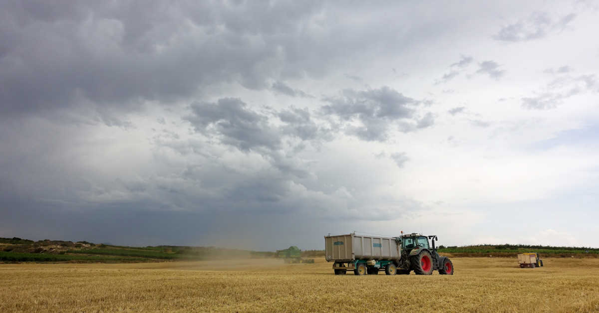 Co opłaca się uprawiać na 1 ha ziemi?