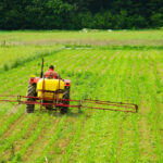 Tabela pH wody do oprysku – to musisz wiedzieć!