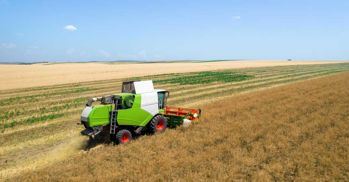 Ugorowanie – ile lat można ugorować pole?