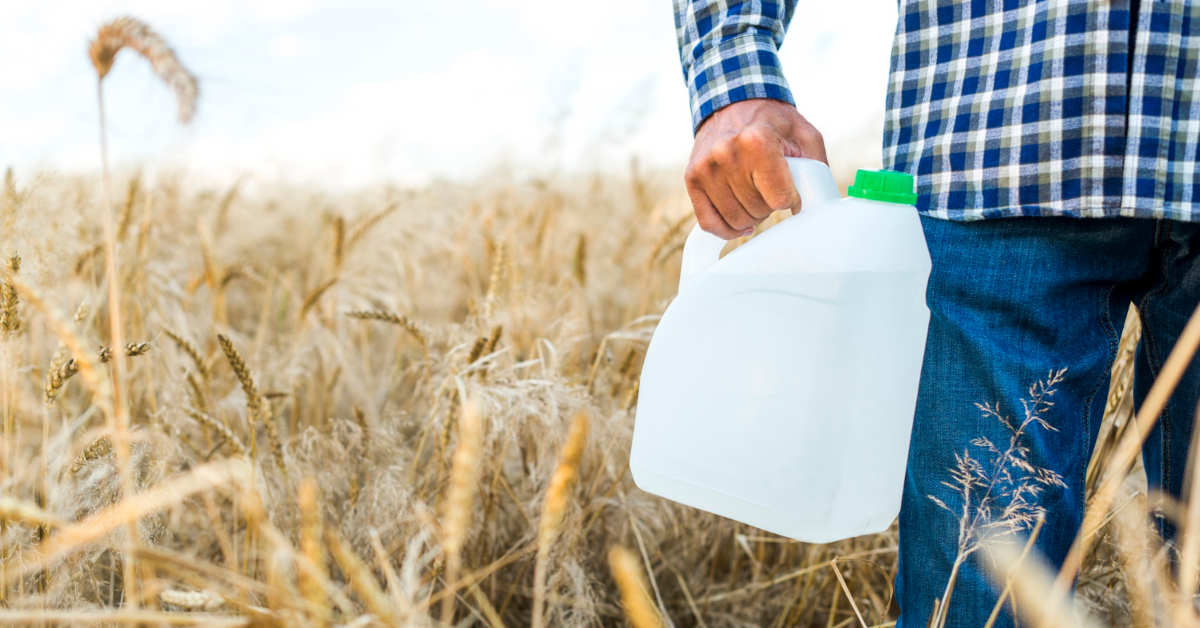 Po ilu dniach działa saletra amonowa?