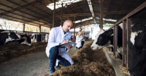 Jaka jest kara za ubój gospodarczy?