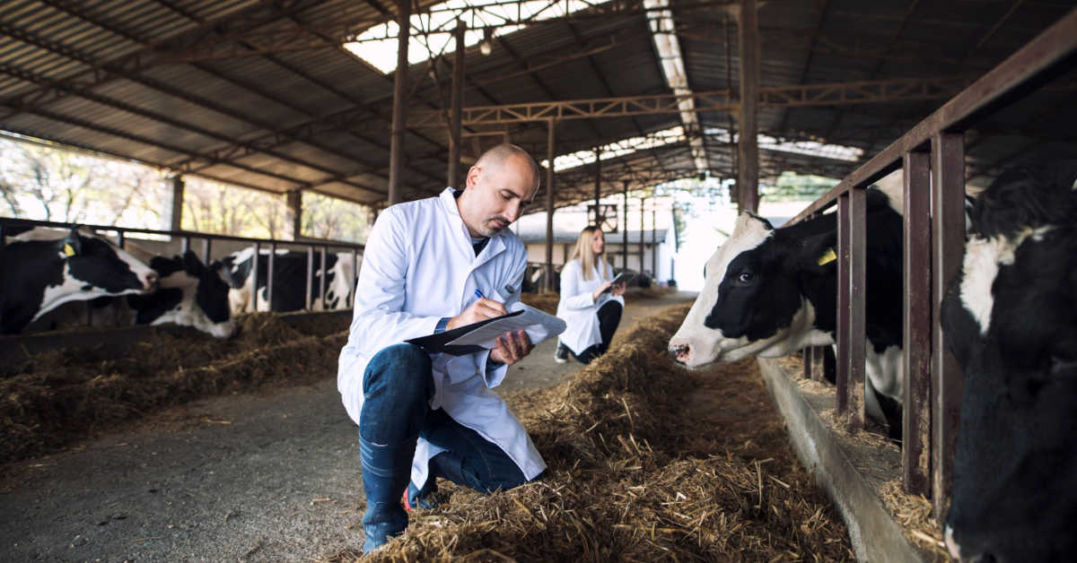Jaka jest kara za ubój gospodarczy?