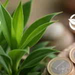 Zielone liście rośliny oraz ekologiczne symbole na rozmytym tle z monetami euro w odcieniach ziemi.